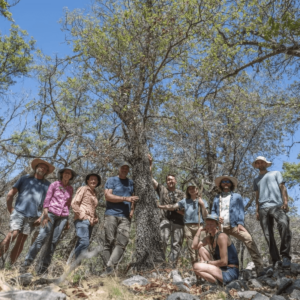 Extinct Oak Tree Found Alive