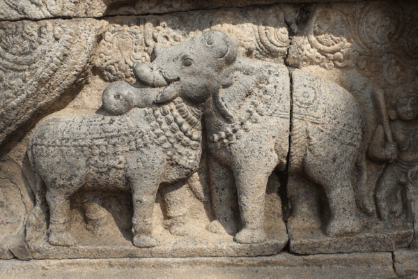 Bull and Elephant statue at Thanjavur Airavatesvara Temple