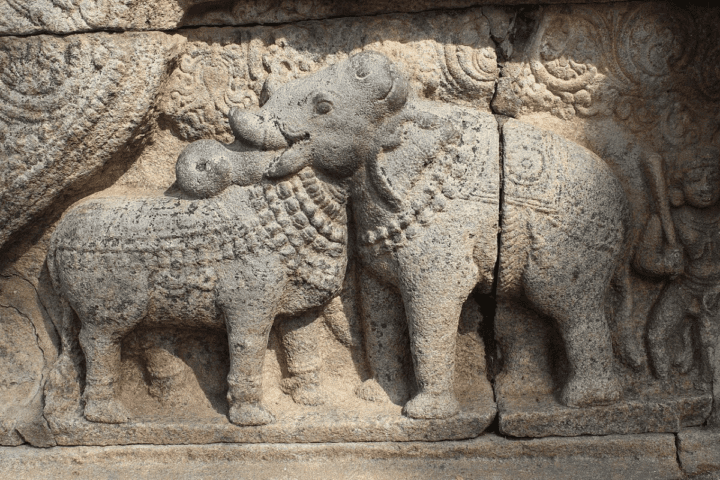 Bull and Elephant statue at Thanjavur Airavatesvara Temple