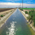 Canals of Imperial Valley which bring irrigational water from Colorado to serve the farm lands