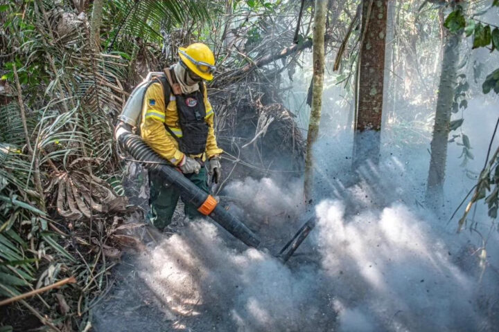 Worker is putting out a fire. Photo Source: Ministério do Meio Ambiente e Mudança do Clima