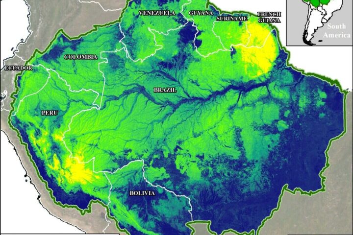 Above Ground Carbon Density 2022.