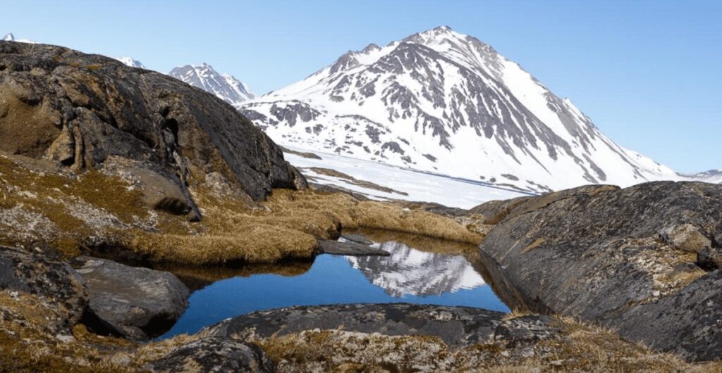 A rocky landscape with tundra plants near the eastern coast of Greenland, similar to what the interior of the island may have looked like when its massive ice sheet melted away. (Photo Credits: Joshua Brown)