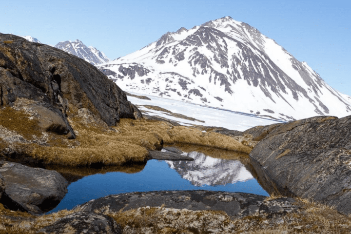 A rocky landscape with tundra plants near the eastern coast of Greenland, similar to what the interior of the island may have looked like when its massive ice sheet melted away. (Photo Credits: Joshua Brown)