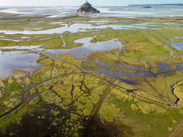 Swamps in a Valley Photo source : Pexels