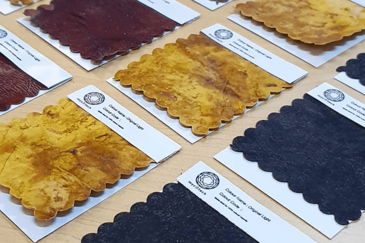 Vegan Leather Made From Mushrooms