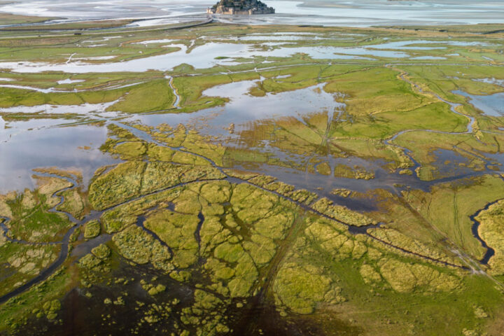 Swamps in a Valley Photo