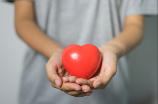 A female medical doctor carry red heart shape model in hands.