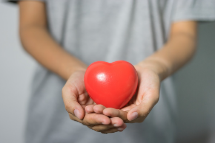 A female medical doctor carry red heart shape model in hands.