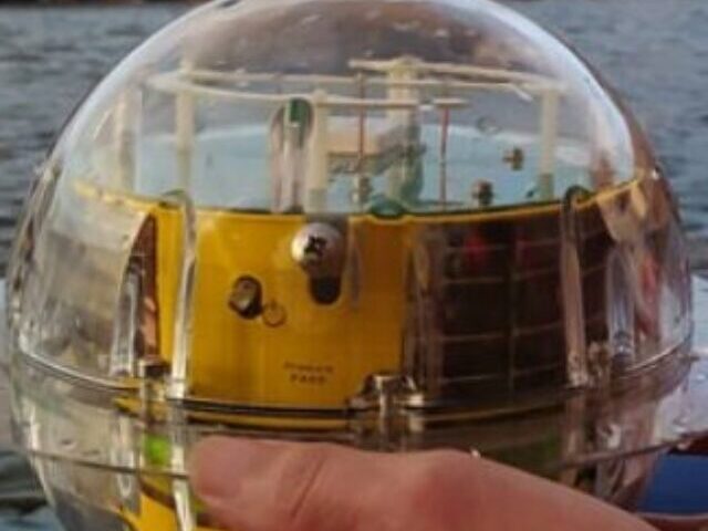 A person is holding a buoys device.