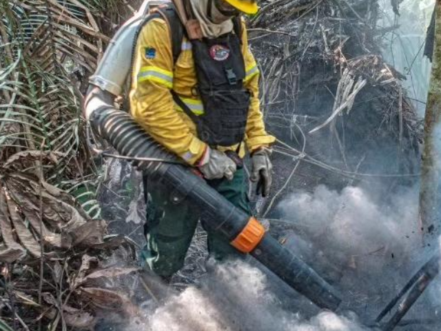 Worker is putting out a fire. Photo Source: Ministério do Meio Ambiente e Mudança do Clima