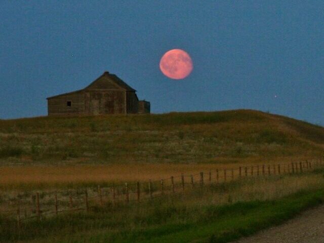 Harvest Moon.