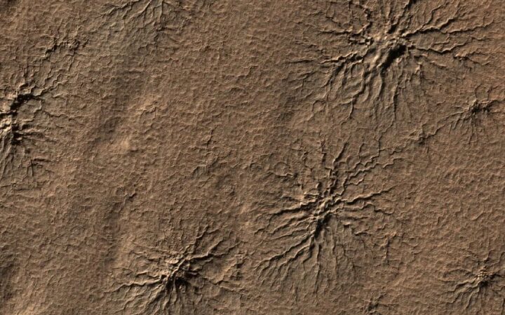 Spider-shaped features called araneiform terrain are found in the southern hemisphere of Mars, carved into the landscape by carbon dioxide gas. This 2009 image taken by NASA's Mars Reconnaissance Orbiter shows several of these distinctive formations within an area three-quarters of a mile (1.2 kilometers) wide.