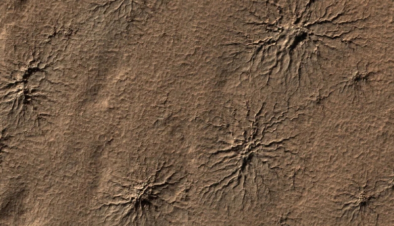 Spider-shaped features called araneiform terrain are found in the southern hemisphere of Mars, carved into the landscape by carbon dioxide gas. This 2009 image taken by NASA's Mars Reconnaissance Orbiter shows several of these distinctive formations within an area three-quarters of a mile (1.2 kilometers) wide.