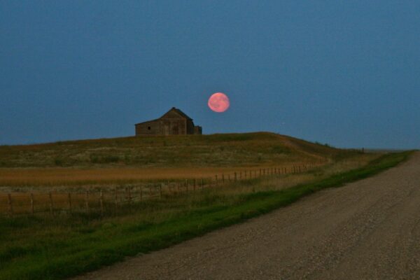 Harvest Moon.