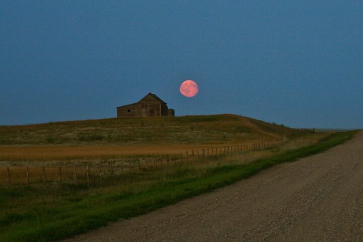 Harvest Moon.