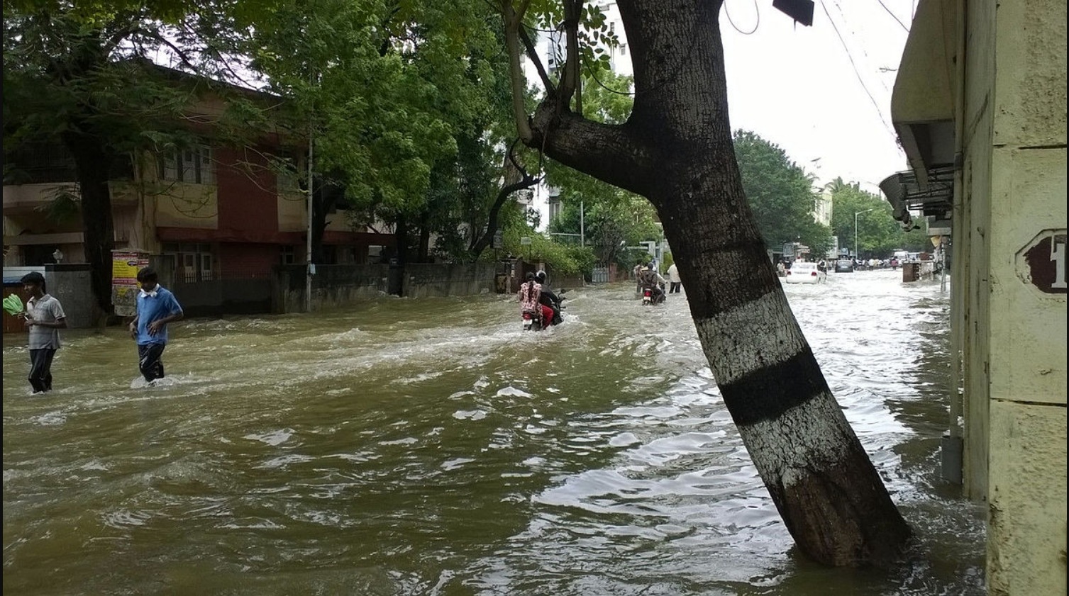 Chennai Flood, Nandanam.