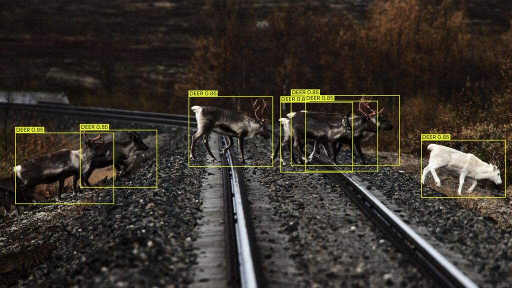 Detecting animals by using AI