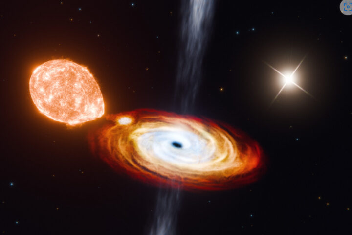 Cygni The Triple Black Hole System