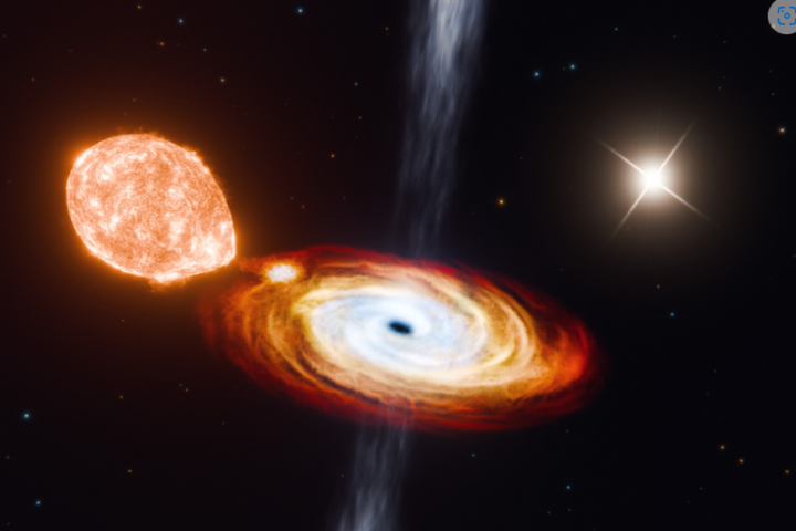 Depicted in this artist’s rendering is the central black hole, V404 Cygni (black dot), in the process of consuming a nearby star (orange body at left), while a second star (upper white flash) orbits at a much farther distance.