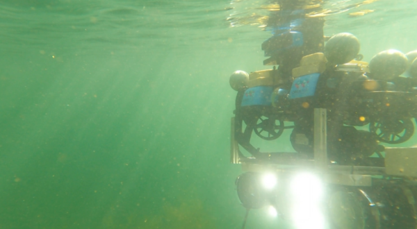 Underwater Robots