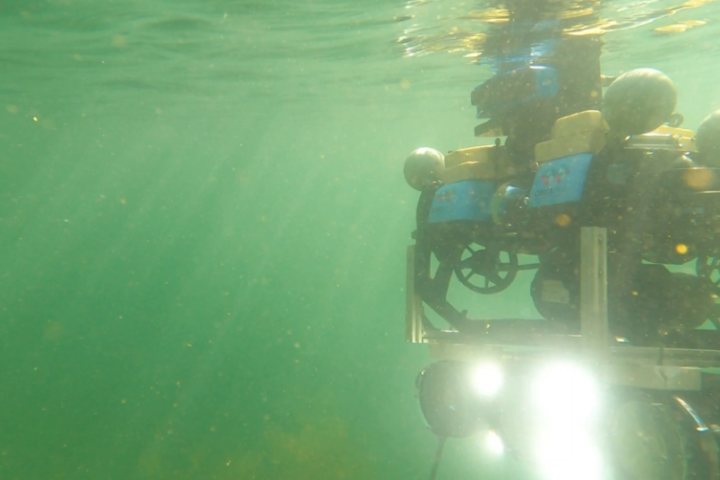 Underwater Robots