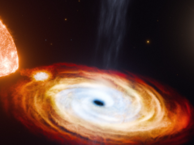 Depicted in this artist’s rendering is the central black hole, V404 Cygni (black dot), in the process of consuming a nearby star (orange body at left), while a second star (upper white flash) orbits at a much farther distance.