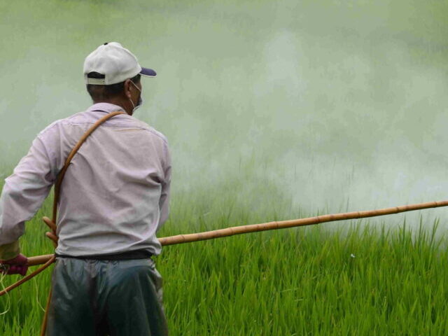 A man holding yellow sprayer.