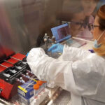 Maddalena Parafati at Kennedy Space Center preparing the programmable syringe pumps that dispense the culture media at fixed reproducible flow rates into the tissue chips.