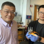 Hailong Chen and Zhantao Liu present a new, low-cost cathode for all-solid-state lithium-ion batteries.