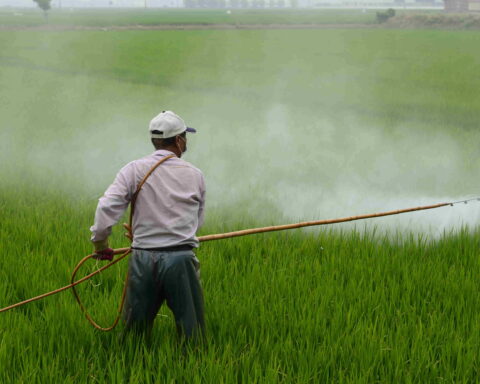 A man holding yellow sprayer.