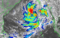 Anticipated Cyclone Dana Track.