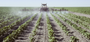 Pesticides Spraying in the fields.