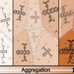 This schematic shows the evolution from solvated individual Tc-DA molecules to dimers to larger clusters through concentration-induced aggregation.