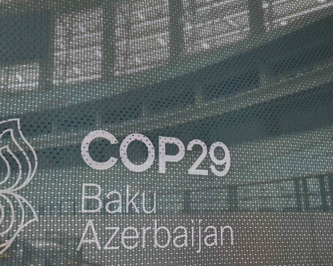 COP29.