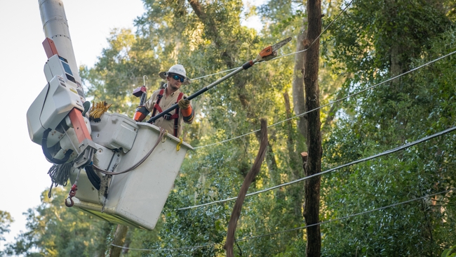 Duke Energy’s self-healing technology, ongoing readiness enable rapid power restoration in Florida during back-to-back hurricanes Helene and Milton