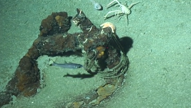 Footage of Ghost Gear, caused by the industrial fishing industry found on the Emperor Seamounts in the Pacific Ocean.