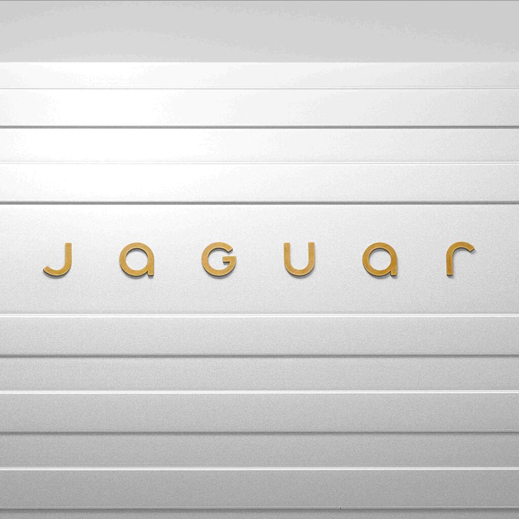 Jaguar’s Device Mark