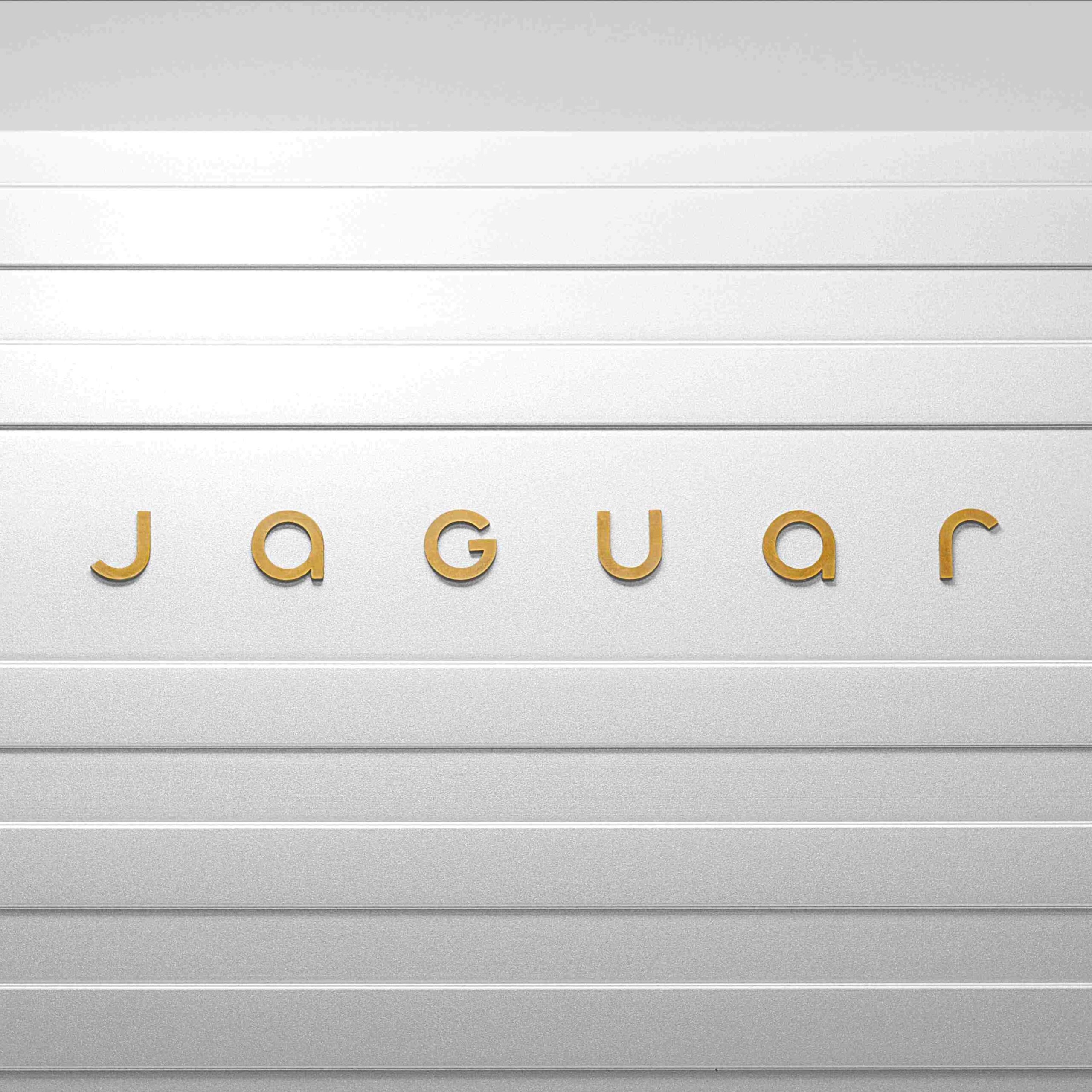 Jaguar’s Device Mark