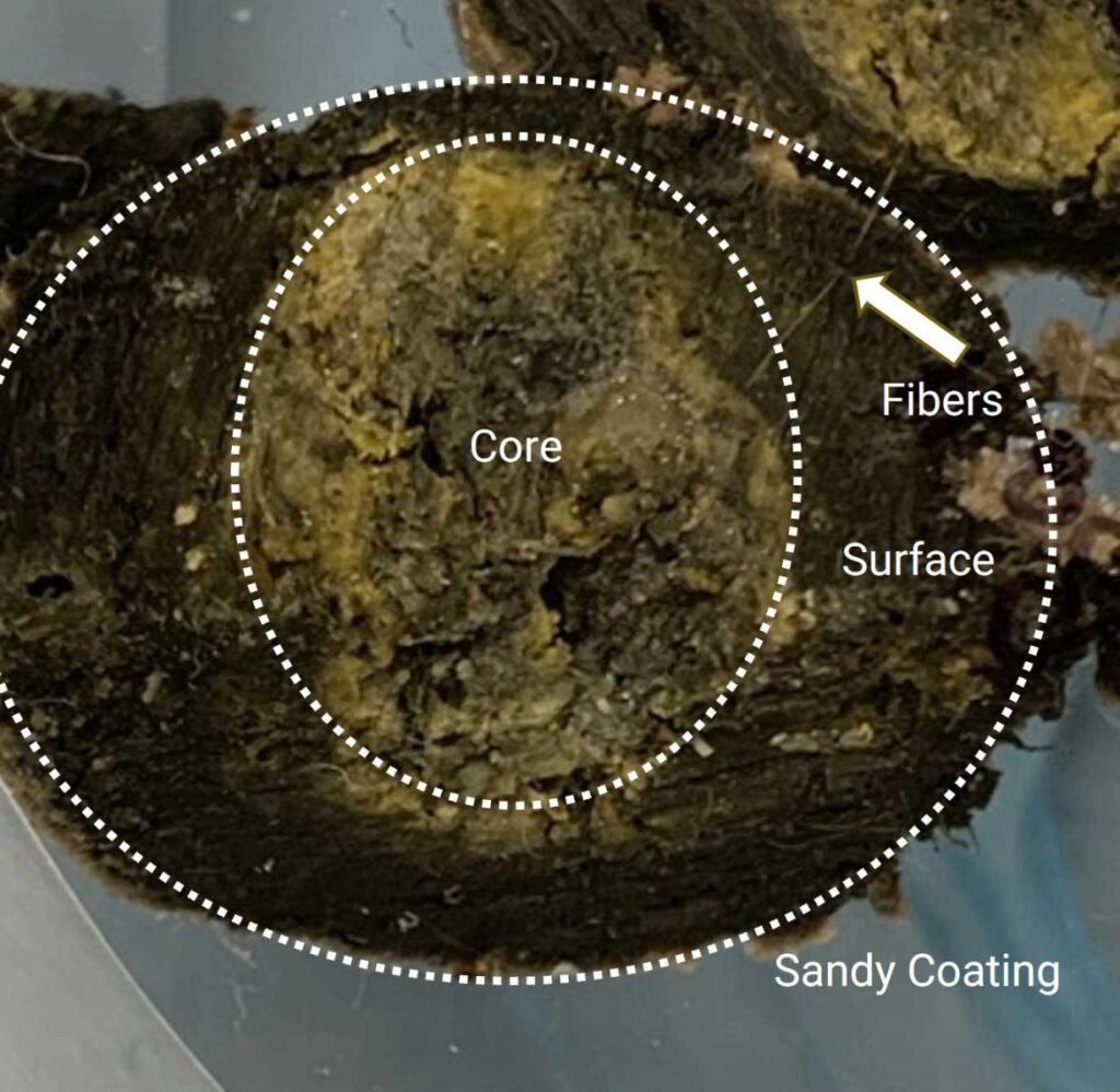 The efforts of the research teams involved in the analysis revealed that the material was composed of a complex mixture of fats, oils, calcium and other metals.