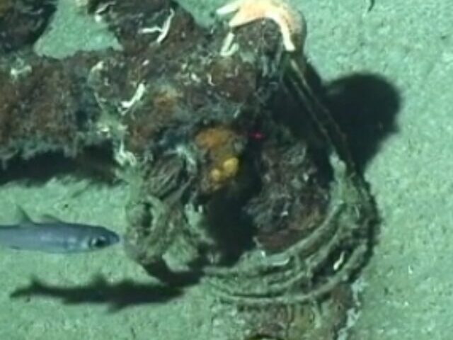 Footage of Ghost Gear, caused by the industrial fishing industry found on the Emperor Seamounts in the Pacific Ocean.