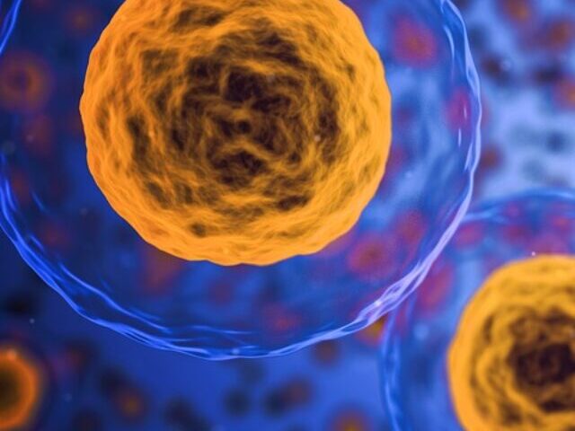 Representative Image. Human Cell.