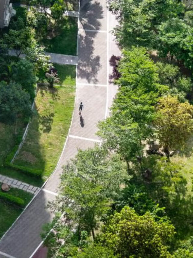 Daytime Cooling in Urban Green Spaces Offset by Increased Humidity