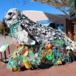 Lidia the Seal is an 8-foot by 10-foot sculpture made of flotsam like synthetic rope, lids, foam and plastic pieces, that washed ashore on the Pacific Coast.