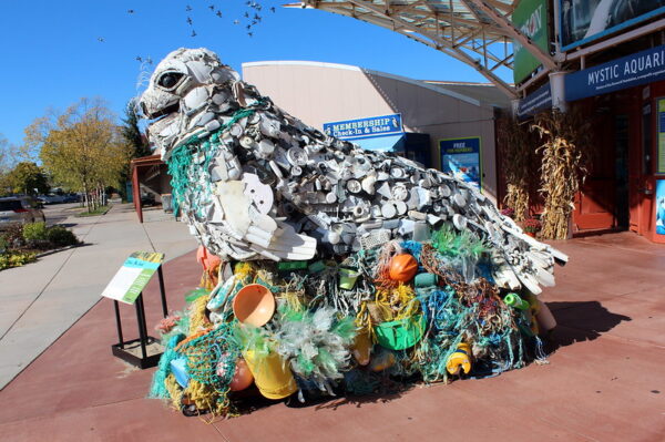 Lidia the Seal is an 8-foot by 10-foot sculpture made of flotsam like synthetic rope, lids, foam and plastic pieces, that washed ashore on the Pacific Coast.