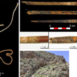 Left: Fragments of sinew bowstrings from the Cave of Los Murciélagos in Albuñol, the oldest bowstrings found so far in Europe. Right above: Three Neolithic arrows reed and wood and details of tied sinew fibres, feathers and birch bark pitch. Right down: Cave of Los Murciélagos (Albuñol, Granada). © MUTERMUR Project.