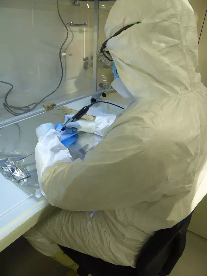 Darío Ramirez processes a pathological human bone in the ancient DNA facility of the Max Planck Institute for Evolutionary Anthropology.© Rodrigo Nores