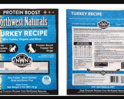 Northwest Naturals Turkey Recipe raw frozen pet food