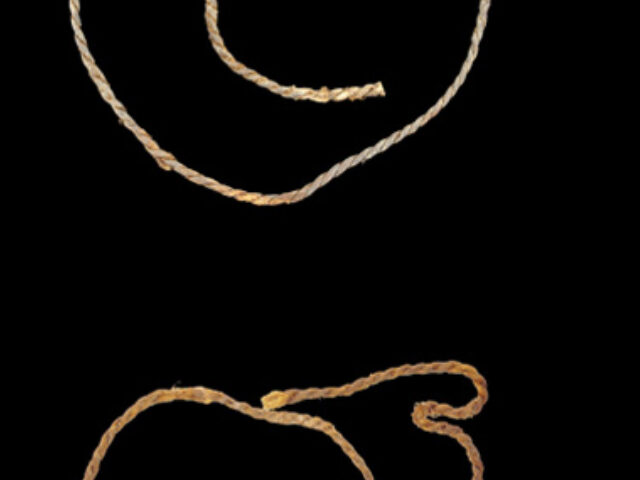 Europe's Oldest Bowstrings Found in Spanish Cave (Poster Image)