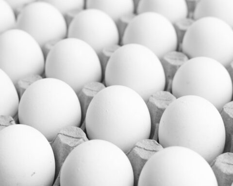 Representative Image. Grayscale Photo of Eggs on a Tray. Photo Source: Renato K. (Pexels)